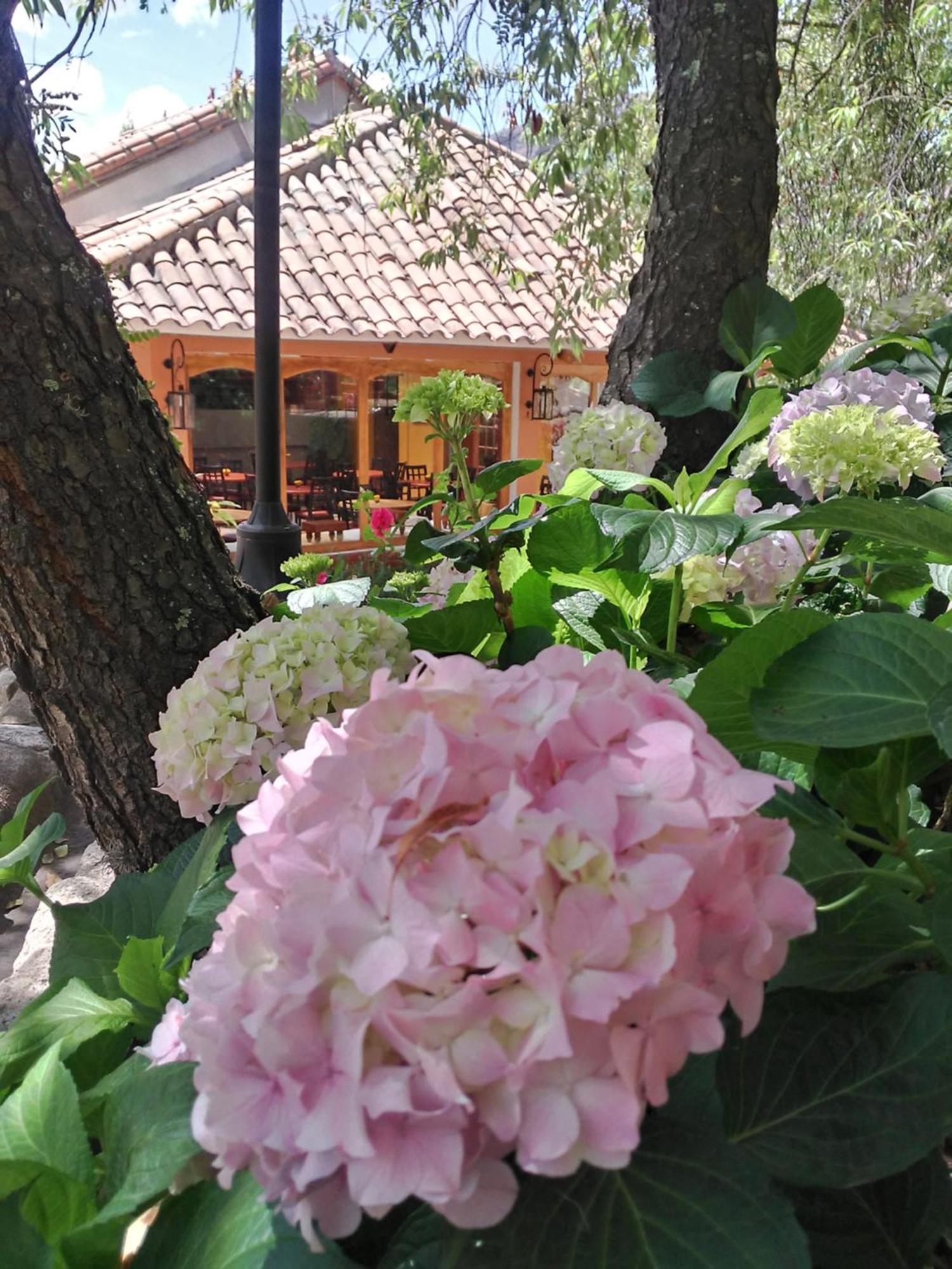Hotel Pisonay Pueblo อูรูบัมบา ภายนอก รูปภาพ